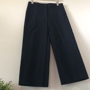 Ann Taylor Factory Wide Leg Pants in Black <2P>